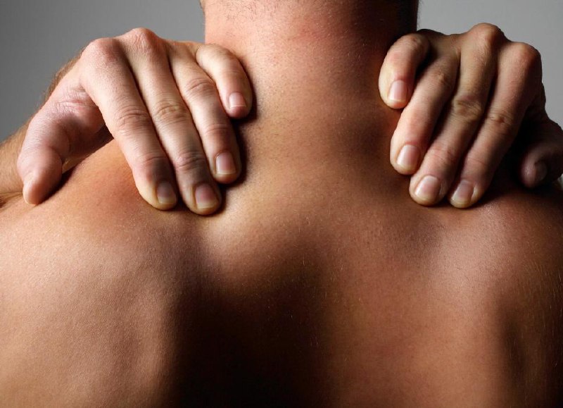 Sarah Mitchell Portfolio 2